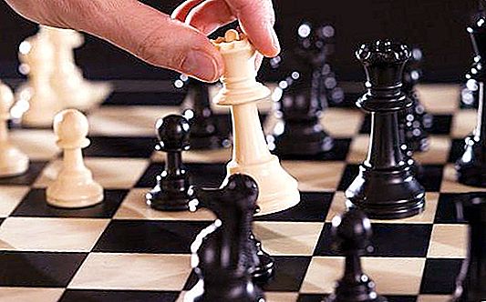 Mezinárodní šachový den je oslavou inteligence a strategie