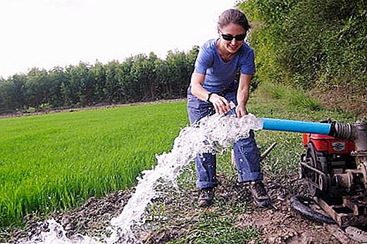 Analiza wody ze studni: cena, wskaźniki i laboratoria. Gdzie wykonać analizę wody ze studni?