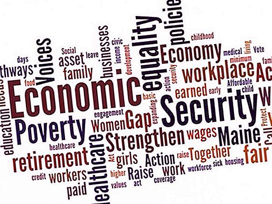 Ekonomiska indikatorer för ekonomisk säkerhet (grundkoncept)