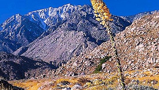 Αναρτήσεις βουνών: χαρακτηριστικά, τύποι και μορφές