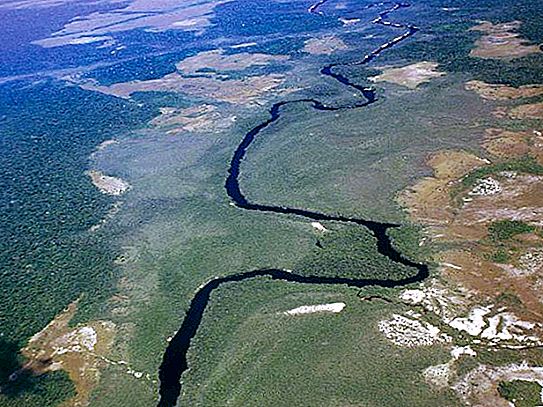 Descripción, características, foto del río Orinoco.