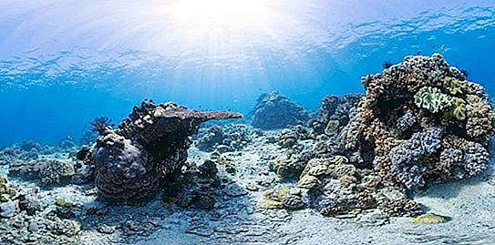 Unterwasserfelsen der Ozeane