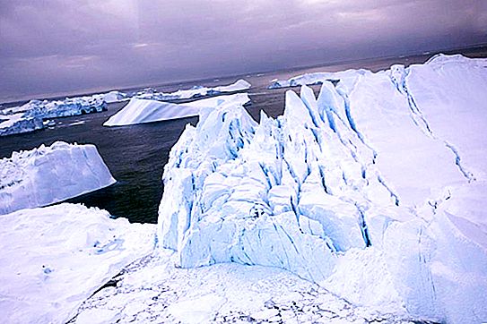 Alarm di lingkungan: kisah gletser tercepat di dunia yang pernah menelan gunung es yang menghancurkan Titanic