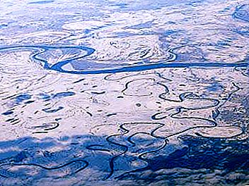 West Siberian Plain: ธรรมชาติสภาพภูมิอากาศและข้อมูลอื่น ๆ