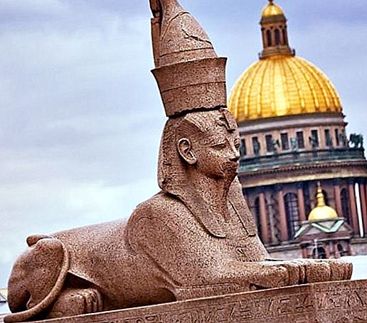 Pemandangan St. Petersburg: Sphinx di Embankment Universiti