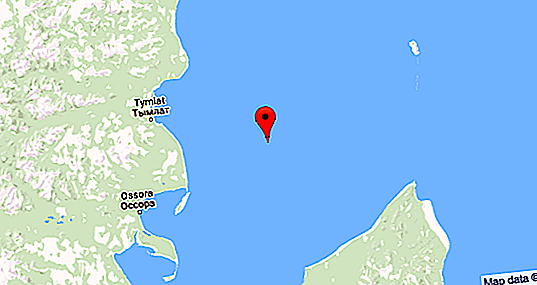 Залив Карагин: местоположение, описание, снимка