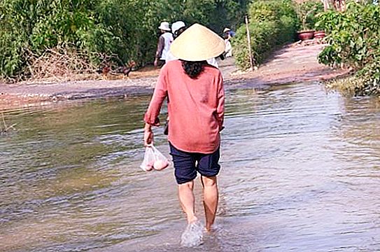 越南的气候：对游客有用的信息
