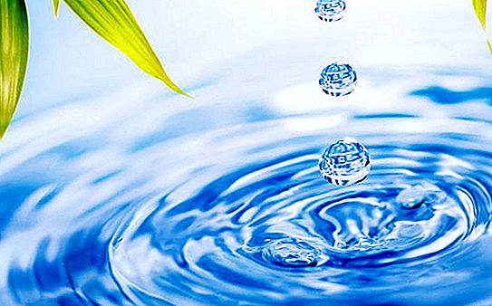 Jätevesianalyysi: kun sitä tarvitaan