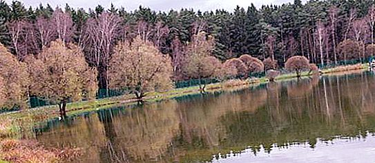 O que é interessante Bakovsky Forest Park para os turistas?