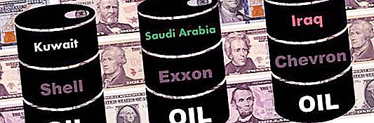 Kas gauna naudos iš kritusių naftos kainų? Naftos kainų situacijos ekspertas