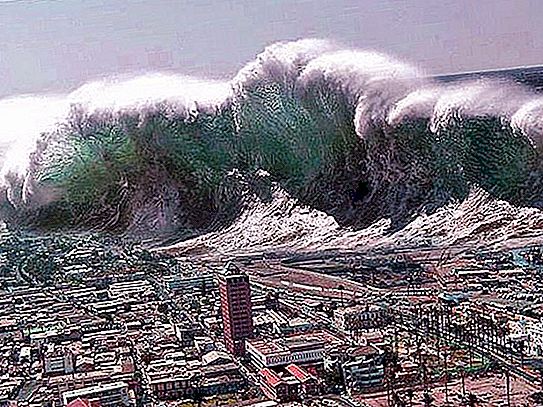 أكبر موجات تسونامي في العالم. ما هو ارتفاع أكبر تسونامي في العالم؟