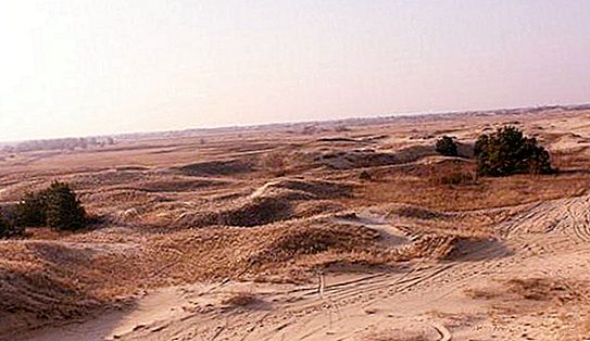 O misterioso deserto Alyoshkovsky areia perto de Kherson (Ucrânia)