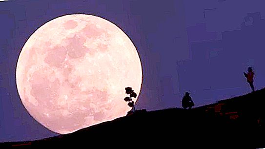 Erstaunliche optische Täuschung: ein riesiger Mond. Dies ist eigentlich unser Gehirn, das sich über uns lustig macht