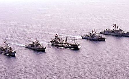 Turkish Navy: antall skip, sammensetning og modernisering