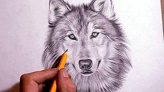 Sitater om ulvene: bedrag, frihet, hengivenhet