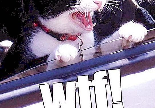 Internet Slang: WTF - What Does It Mean?