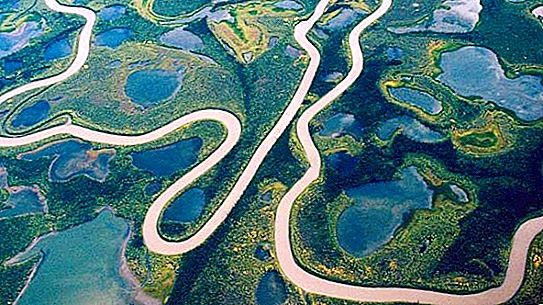 К бассейнам каких океанов относятся реки маккензи. Рыба реки Маккензи. Река Маккензи в 15 веке. Питание реки Маккензи. Где находится река Маккензи.
