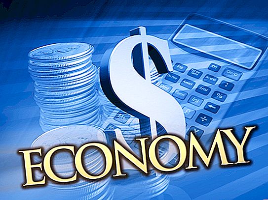 Mikroekonomija i makroekonomija su Definicija, osnove, načela, ciljevi i metode primjene u poslovanju