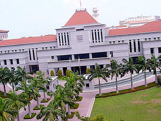 Parliament, Punong Ministro at Pangulo ng Singapore