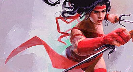 The Chronicles of Marvel. Electra Nachios - Female Ninja