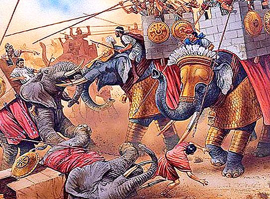 Elefanți de război indieni: descriere, istorie și fapte interesante
