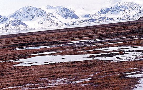 A tundra éghajlata. Mi akadályozza meg, hogy a víz beszivárogjon az tundra talajába?