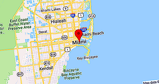 Kehidupan di Miami: ulasan imigran Rusia, peluang, kebaikan dan keburukan