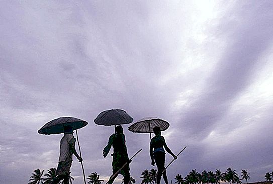 Ano ang sirkulasyon ng monsoon? Mga alon ng monsoon sa karagatan