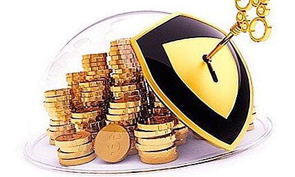 Az állam pénzügyi biztonsága: koncepció, kritériumok, külső és belső fenyegetések. Biztonsági mutatók és a hatóságok általi biztosításuk