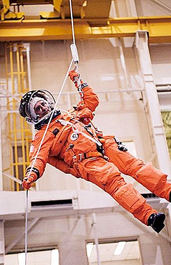 Toda la verdad sobre el trabajo y la vida de los astronautas: las revelaciones del astronauta de 63 años.