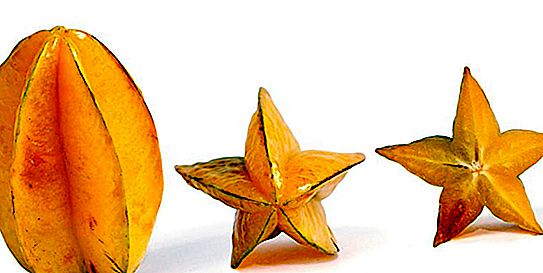 Carambola - what is it? Growing at home, features and properties of fruit