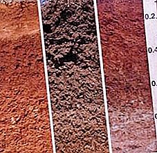 土壤分类及其物理机械性能