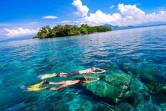 Sulawesi-meri: sijainti, kuvaus ja villieläimet