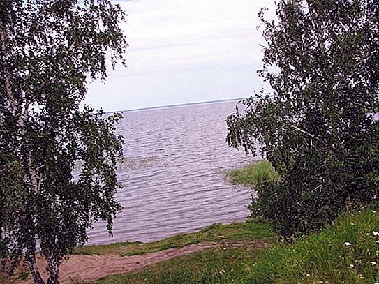 Ik Lake, Omsk Region : 설명, 특징, 자연 및 동물의 세계