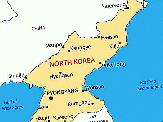 Kuzey Kore'nin siyasi rejimi: totaliterlik belirtileri. Kuzey Kore'nin siyasi sistemi