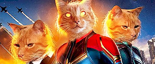 “There's All Hollywood!”: The actress who played Captain Marvel does not understand why she was not invited to “Cats”