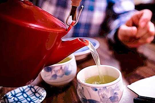 Erškėtuogių, pieno, žaliosios arbatos ir kitų organizmui daug naudingesnių kavos alternatyvų