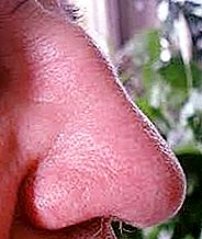 Ảnh hưởng của hình dạng của mũi đối với một người