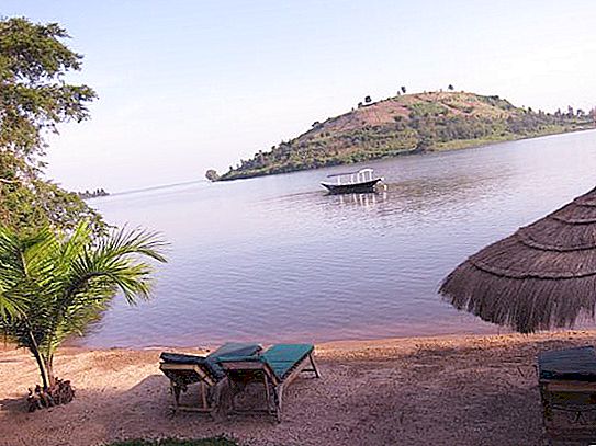 Kivu je jazero v Afrike