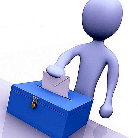 الانتخابات التمهيدية - ما هو؟ أين ومتى ظهرت الانتخابات التمهيدية؟