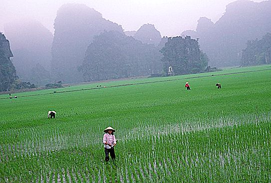 Tradisi dan budaya Vietnam
