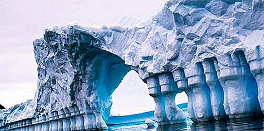 Vinson is an array of Antarctica. Description, photo