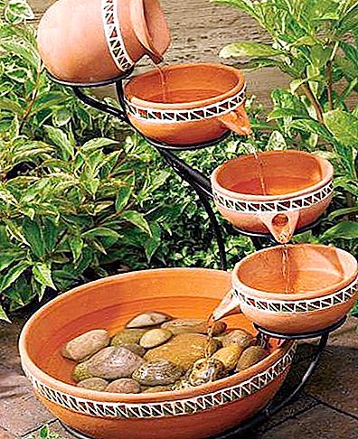 Do-it-yourself mangkuk minum hiasan untuk burung: ciri, corak dan ulasan