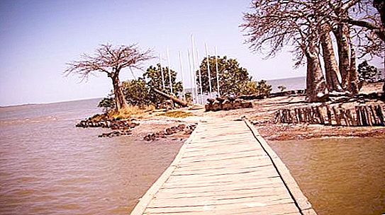 Gàmbia (riu): règim, afluents, font, foto, descripció