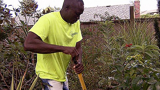 Afrika'daki bir kabile kralı, insanları beslemek için Kanada'da bir bahçıvan olarak çalışıyor.