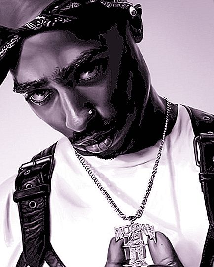 Qui va matar Tupac? Fets i Suposicions