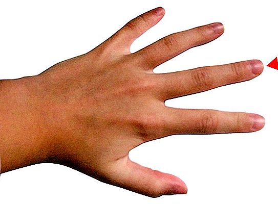 Stisak ruke, stisnuta šaka, srednji prst, pozdrav: geste ruku s nevjerojatnom poviješću podrijetla
