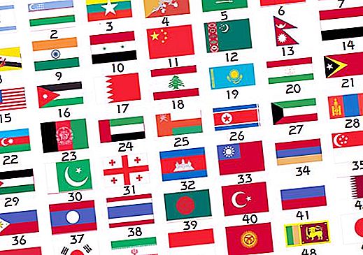 Asya bayrakları: çok sayıda afiş