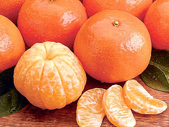 Cara menyimpan tangerines di rumah: perihalan, cadangan dan ulasan