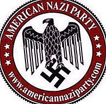 American Nazi Party: Kasaysayan at ideolohiya